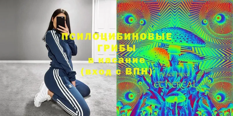 Псилоцибиновые грибы Magic Shrooms  где купить   Баймак 